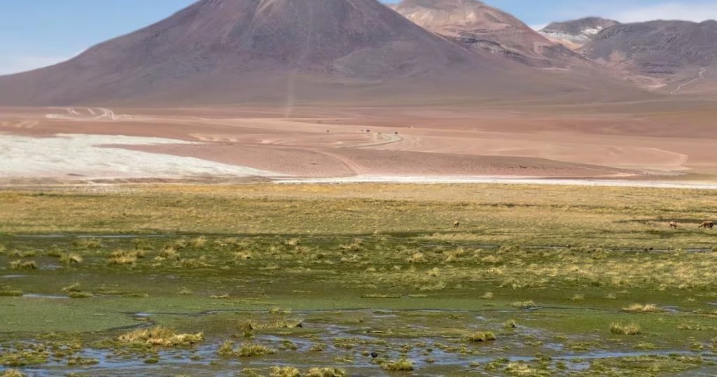 Chile arrasa en los World Travel Awards 2025 con cinco premios