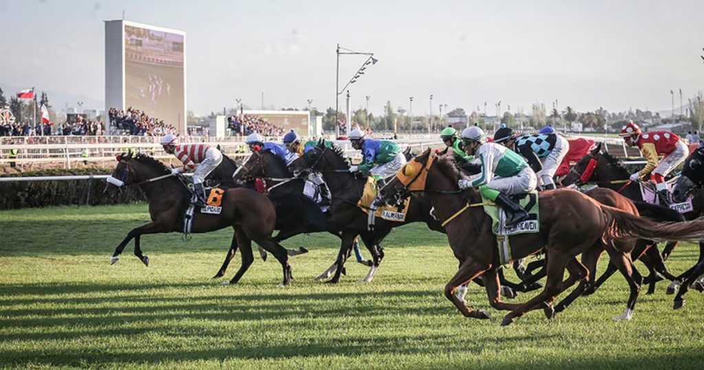 Escándalo Veterinario: Medicamento Prohibido Pone en Riesgo a Caballos de Carrera