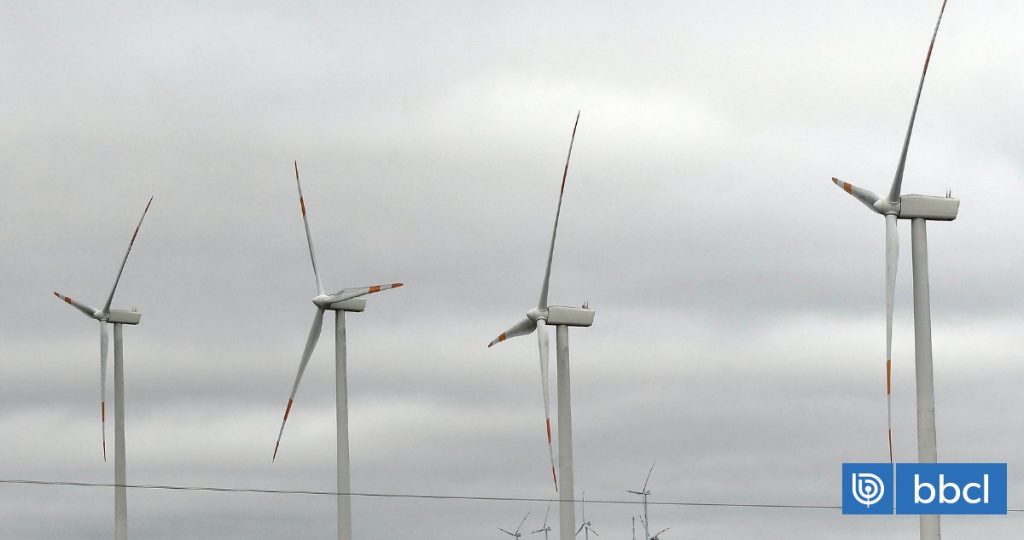 Parque Eólico Camán: Expectativas de Reanudación en 2026