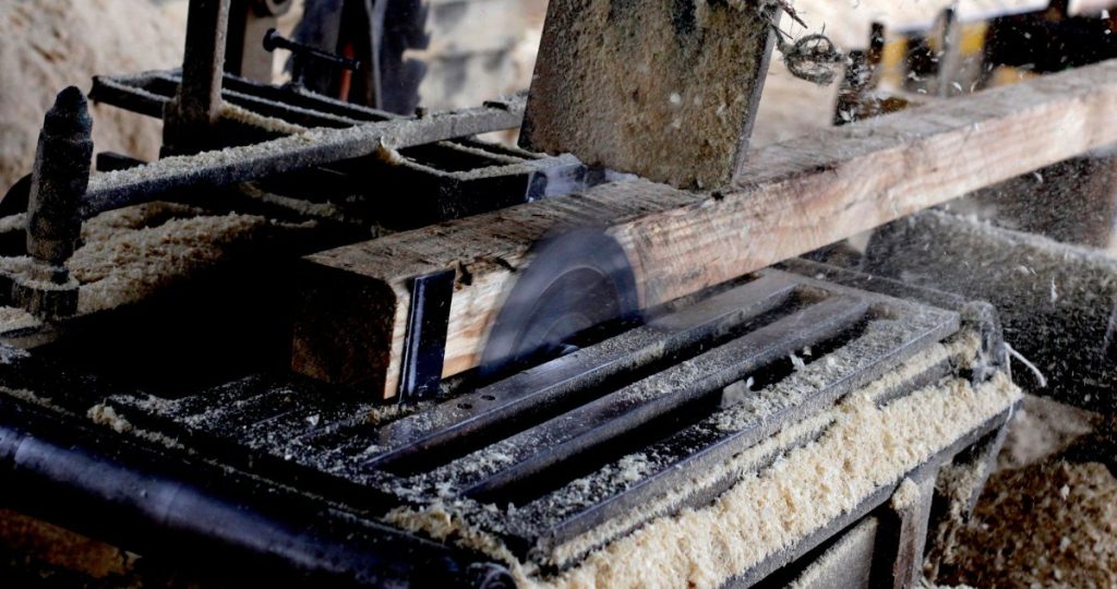 Pymes forestales del Bío Bío exigen rectificación por comentarios polémicos