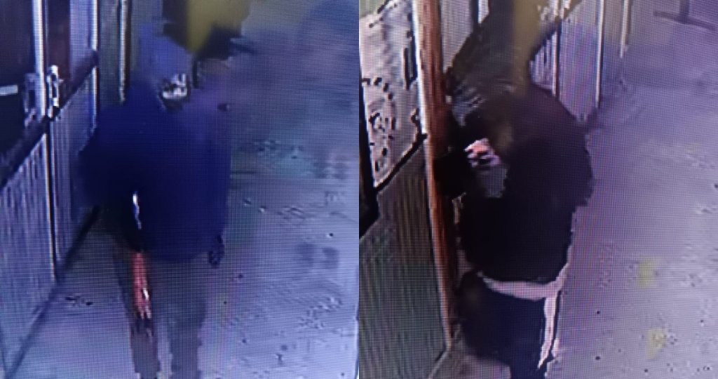 Impactante robo en escuelas de Antuco genera pérdidas millonarias.