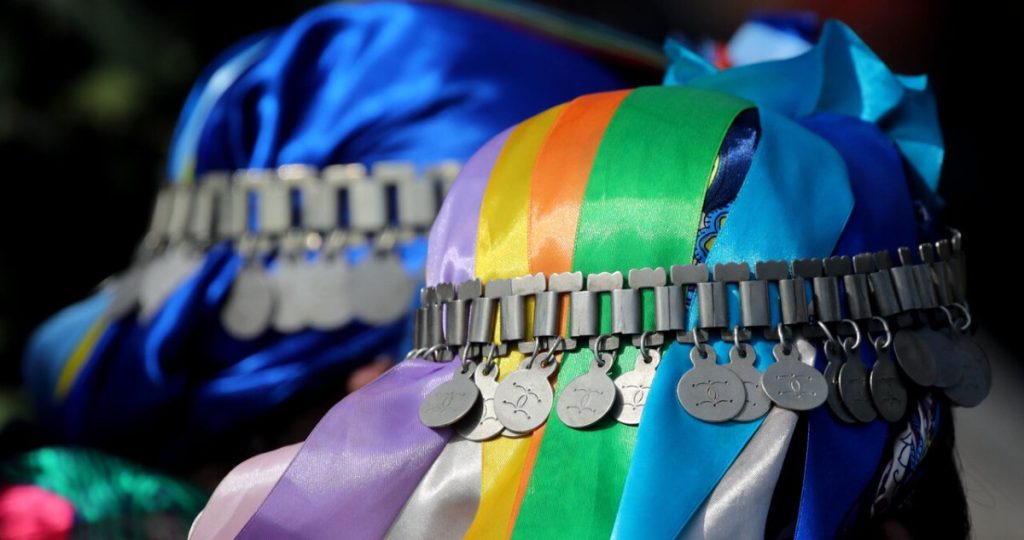 Suspensión de Consulta Indígena: Implicaciones y Reacciones en Chile