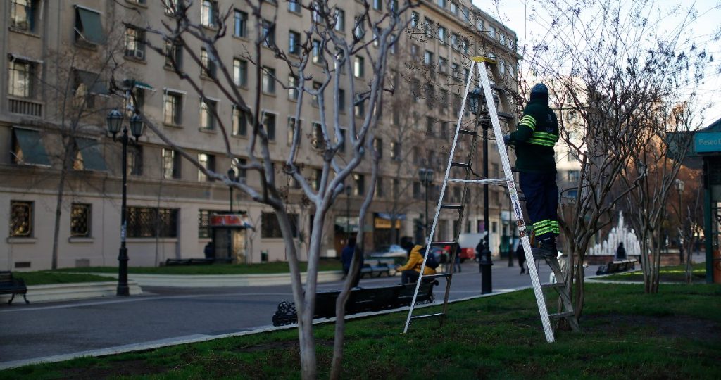 Tasa de Desempleo en Chile Baja a 8,6%: Economía en Foco