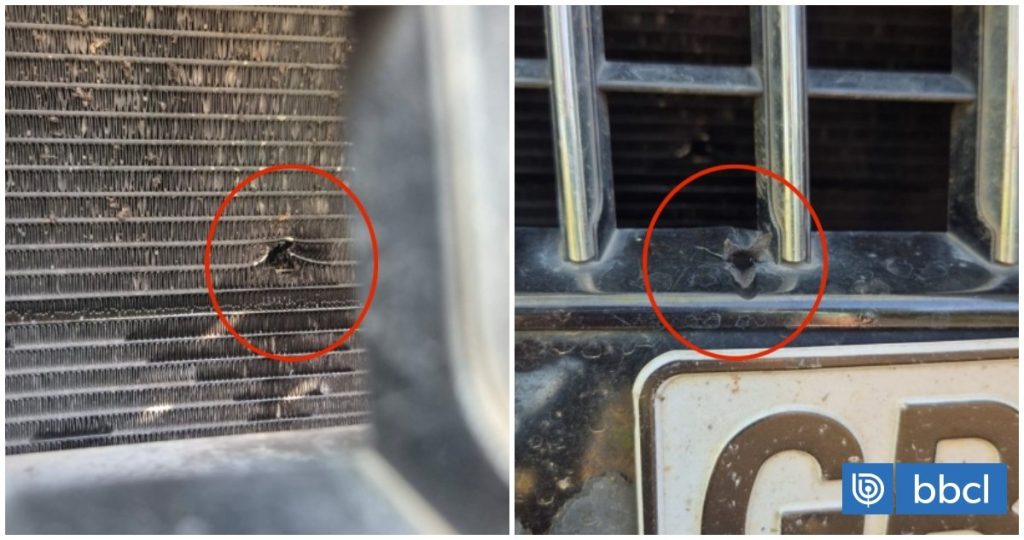 Agricultor de 82 años sobrevive a ataque armado en Ercilla