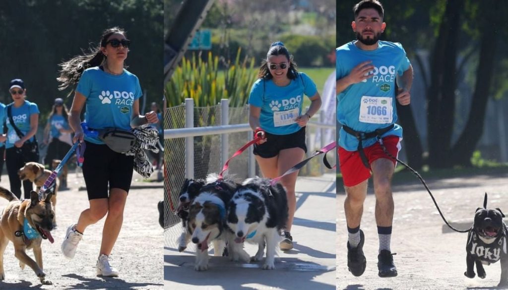 Corridas caninas revolucionan Santiago con eventos únicos