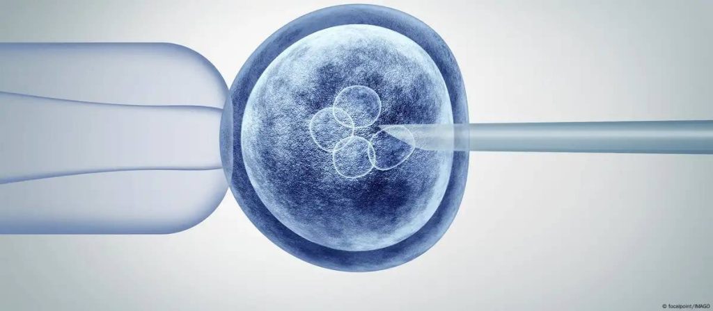 Científicos crean óvulos humanos a partir de células de piel