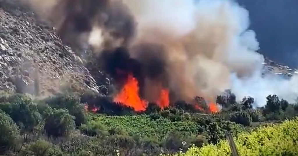 Incendio en Monte Patria: Alerta Roja y Evacuación Urgente