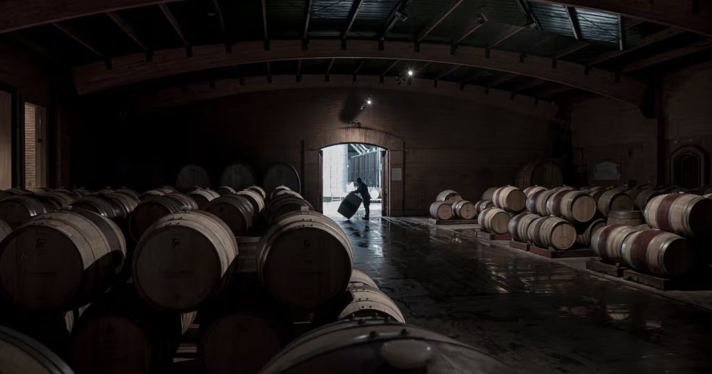 Explora la Ruta del Vino 2025: Enoturismo y Sabor en Chile.