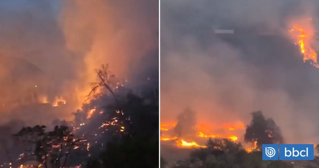 Incendio en Monte Patria: Tres Casas Destruidas, 200 Evacuados
