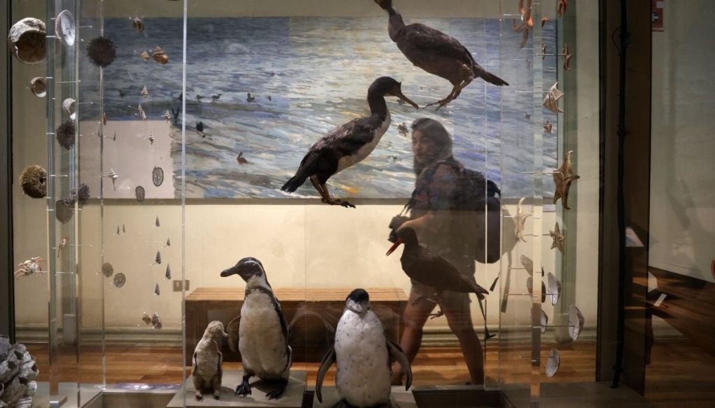 Explora la Noche de Museos 2025: Cultura Gratuita Bajo las Estrellas