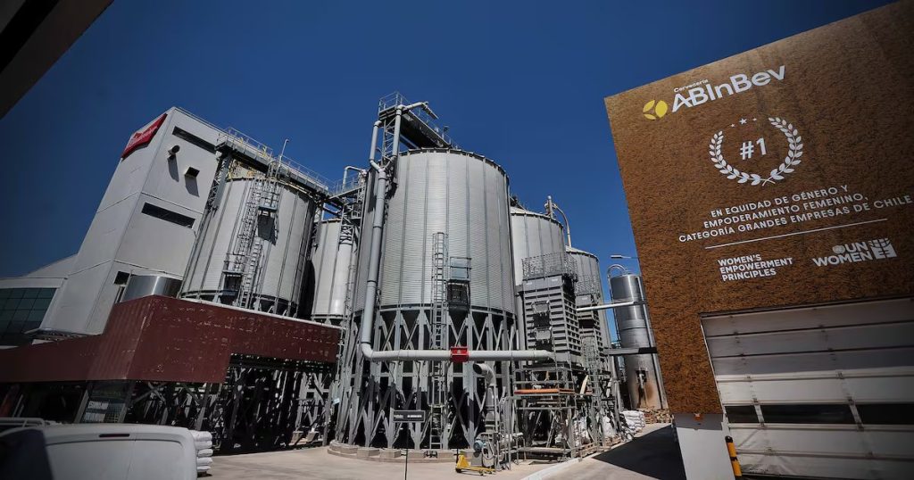 Innovación y sostenibilidad: el nuevo eje del desarrollo chileno