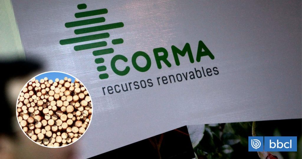 Nuevos aranceles de EE.UU. ponen en jaque al sector maderero chileno