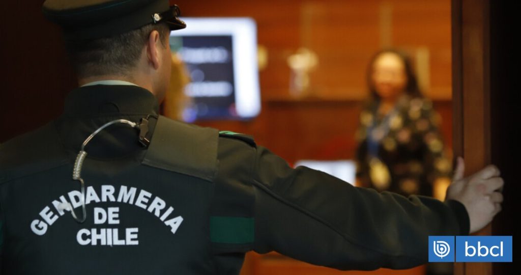 Detención impactante en Melipeuco: frustran intento de parricidio.