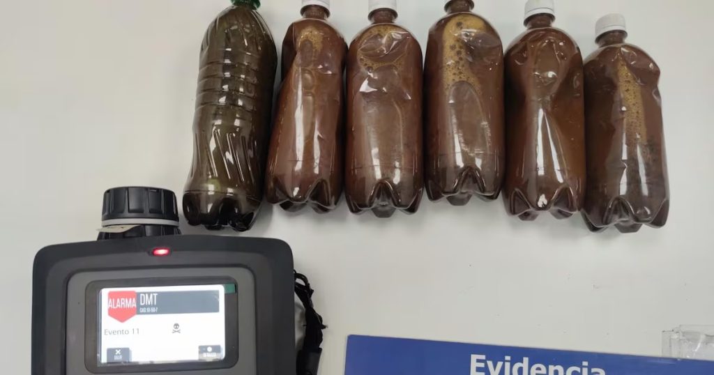 Surge polémica por turistas brasileños detenidos con ayahuasca en Chile