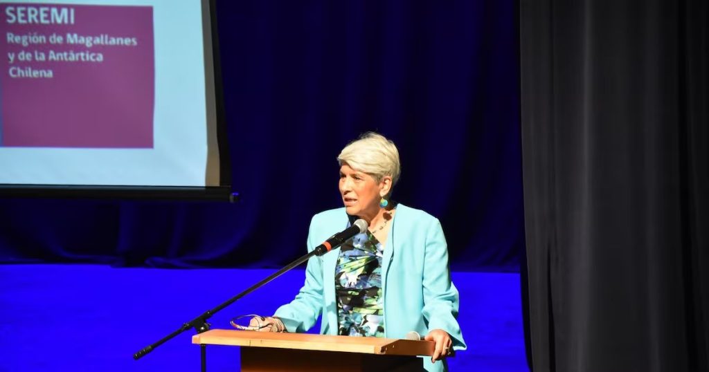 Renuncia de Seremi de Salud en Magallanes sacude la región