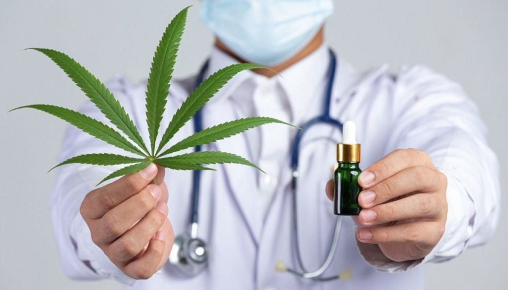 España avanza hacia el uso terapéutico del cannabis medicinal