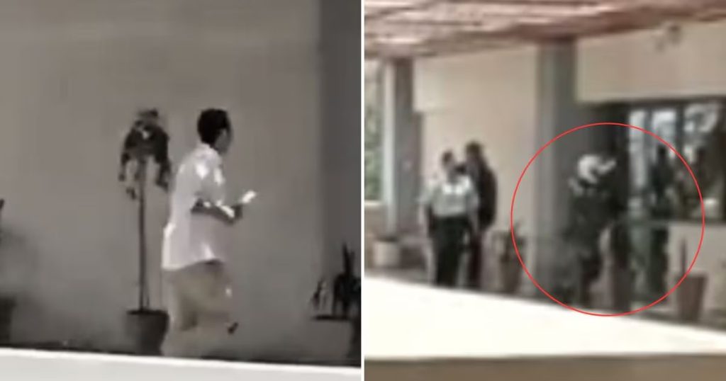 Incidente en Corte de Arica resalta urgencia de tratar la salud mental