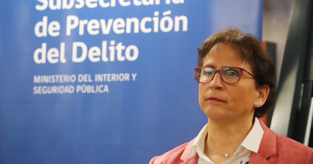 Controversia por Cámaras de Seguridad en Chile: Proyecto Estancado