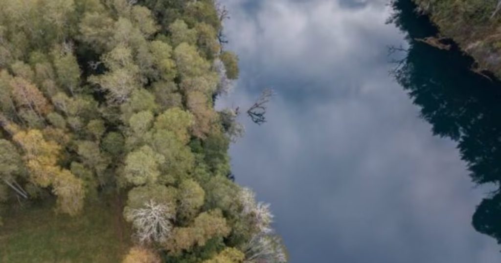 Ritual Mapuche en Los Ríos: Tragedia y Búsqueda de Respuestas