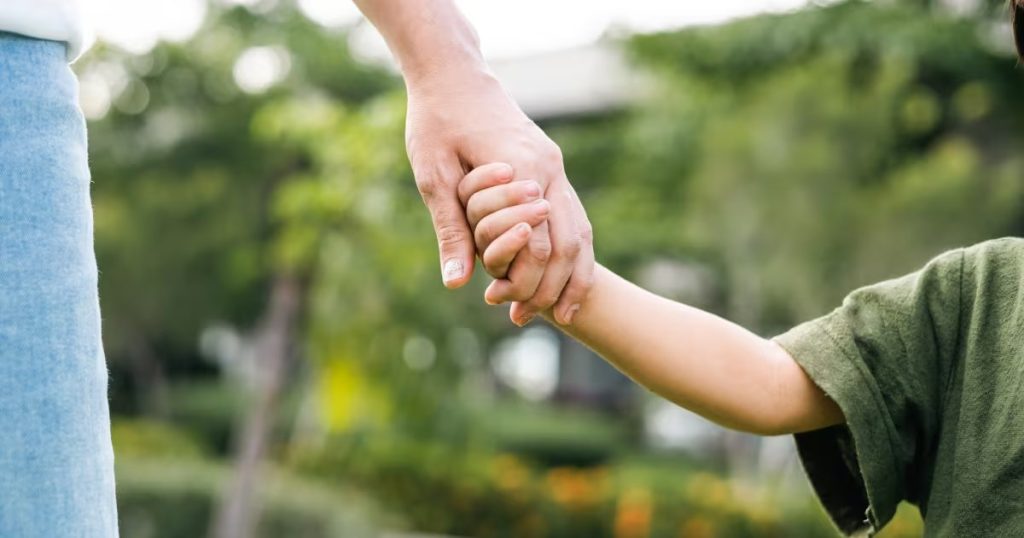 Registro de Deudores: Avances y Desafíos en Chile