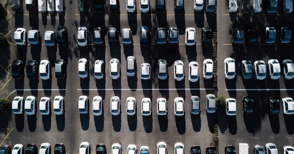 Condenan el Uso Indebido de Estacionamientos para Personas con Discapacidad