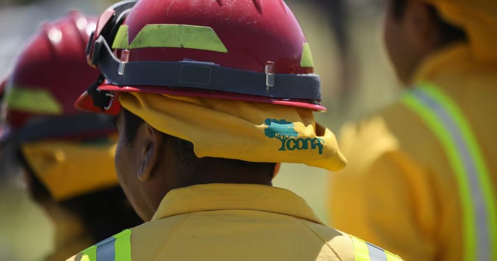 Emergencia en Chile: Alerta roja por incendios en O’Higgins y Valparaíso