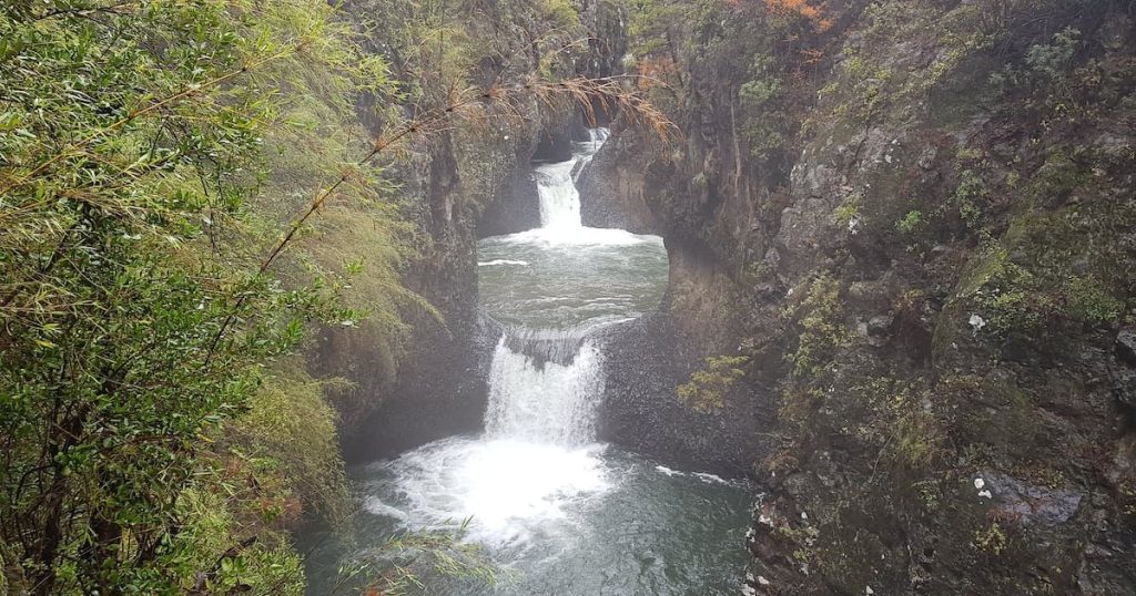 Parques Nacionales en Maule cierran por alerta de tormentas