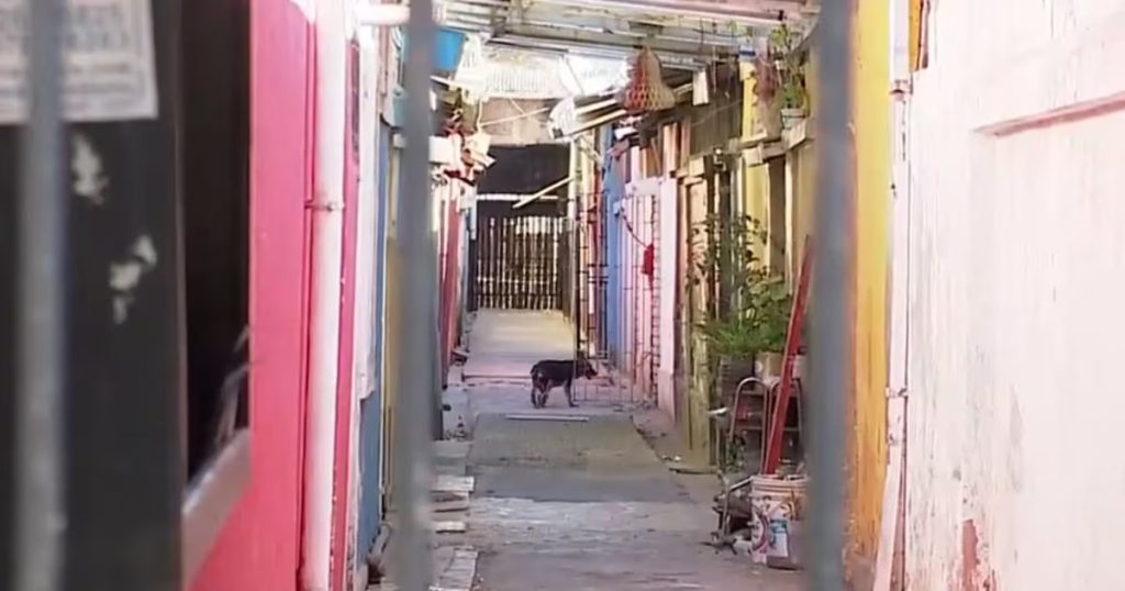 Presidio perpetuo por femicidio en Estación Central conmociona a Chile.