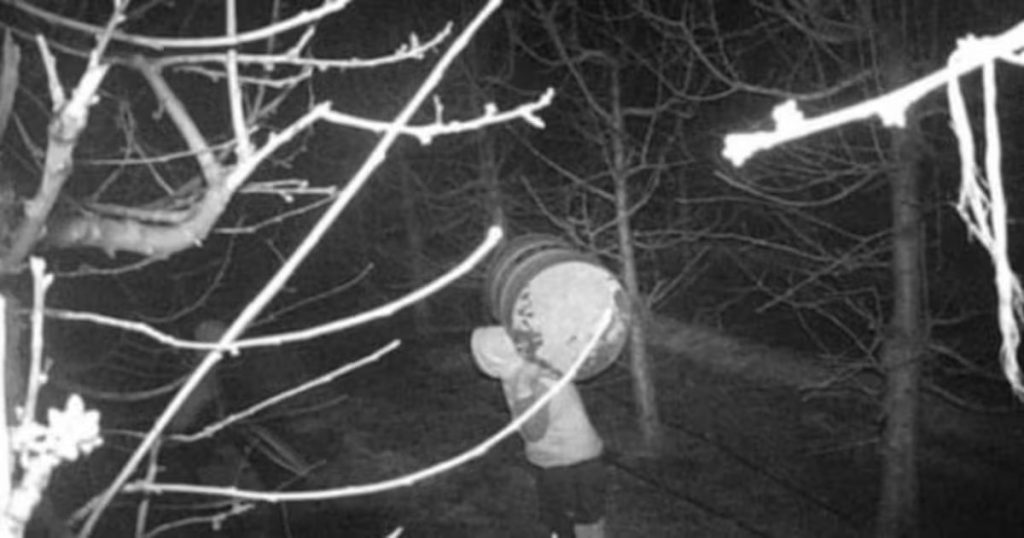 Operación en Renaico Desmantela Red de Robo de Combustible