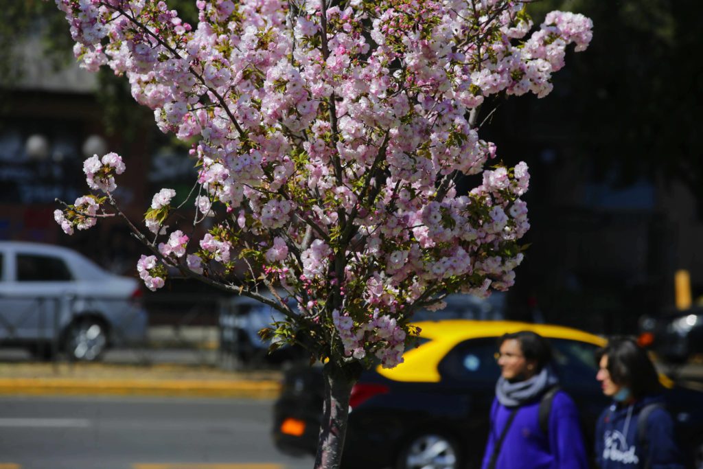 Ya se acaba el invierno: Esta es la fecha exacta del inicio de la primavera