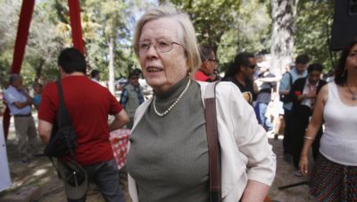 Falleció diputada Mercedes Bulnes tras diagnóstico de cáncer