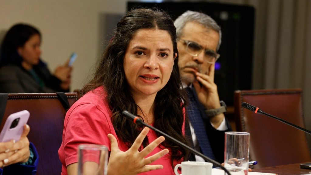 RN pide evaluar continuidad de ministra Orellana tras polémica por aborto legal