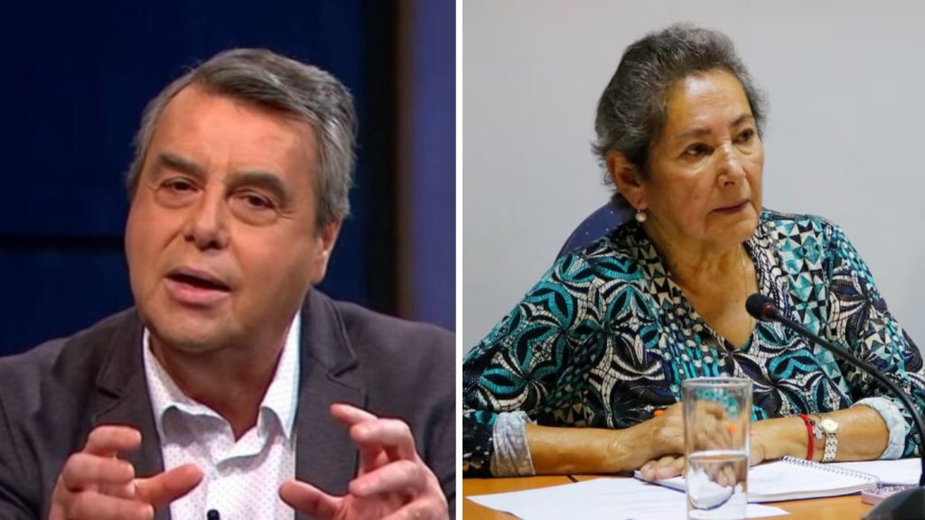 Concejala Desaparecida Villa Alegre - Teorías sobre la Concejala Desaparecida en Villa Alegre