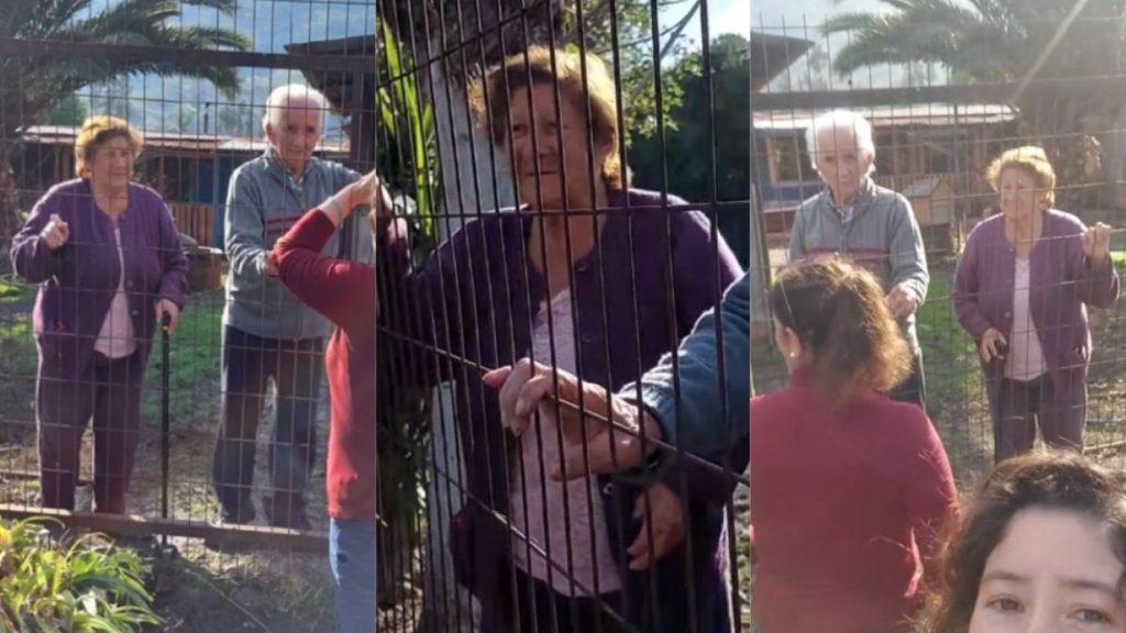 Encierro Mayores Padre Hurtado - Encierro de Adultos Mayores en Padre Hurtado: Un Caso Alarmante