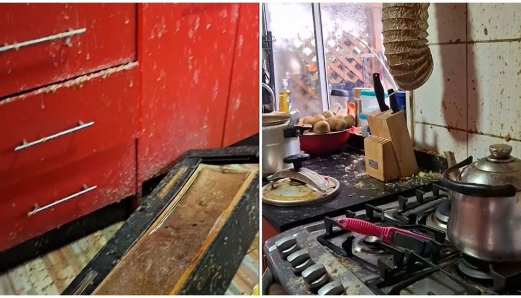 Accidente Olla Presión Cocina - Explosión de olla a presión deja cocina destrozada pero sin víctimas
