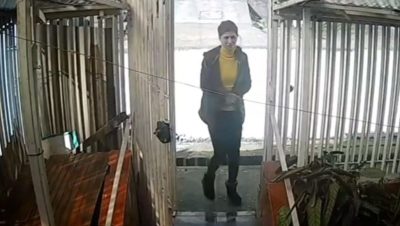 Asalto a una Adulta Mayor de 92 Años en Lota - Asalto a anciana en Lota: una tragedia que estremece