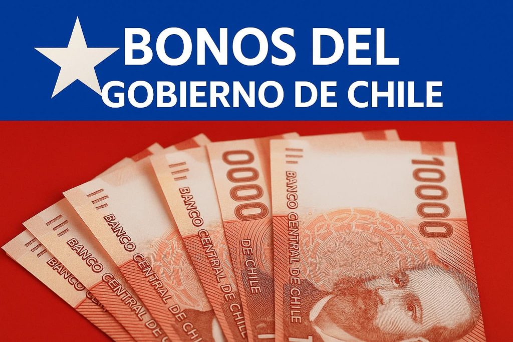Beneficios del IPS: Fecha y Forma de Pago con Tu RUT - ¿Cómo acceder a beneficios del IPS con solo tu RUT?