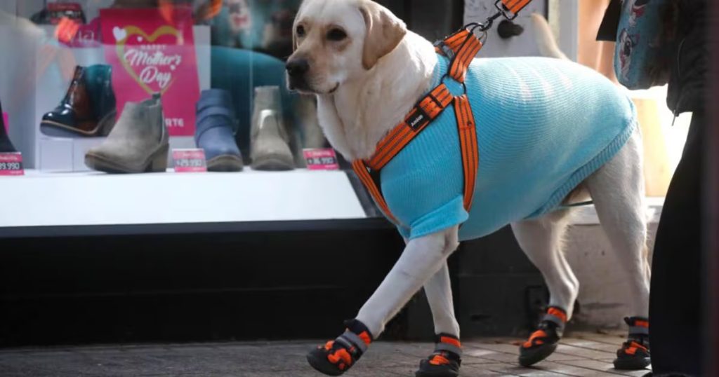 Cómo Estará el Tiempo en Santiago durante el Fin de Semana - Meteorología en Santiago: Fin de Semana Marcado por Anticiclón