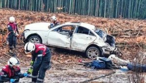 Conductor Se Llevó un Ciervo Atropellado en un Accidente en Argentina - Conductor ignora heridos y se lleva ciervo atropellado