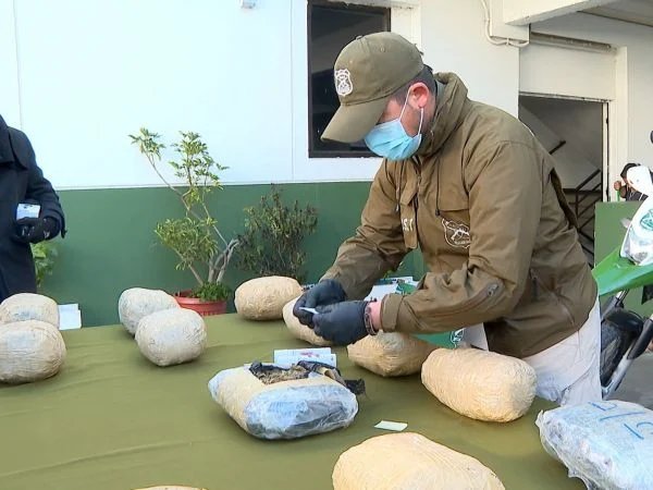 Decomiso Marihuana Antofagasta - Impactante Decomiso de Marihuana en Antofagasta: 340 Kilos Incautados