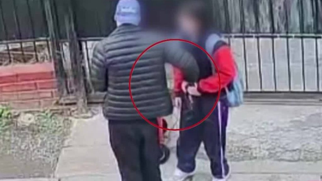 Detención de un Delincuente que Asaltaba a Escolares en Pudahuel - Detención de Asaltante Armado en Pudahuel: Impacto y Reacciones.