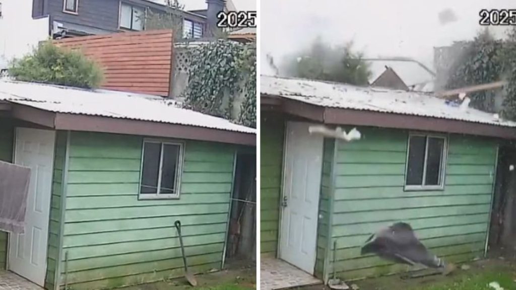Explosión en Temuco Causa la Muerte de una Mujer y Daños en las Casas - Explosión en Temuco: Tragedia y Destrucción en el Sur