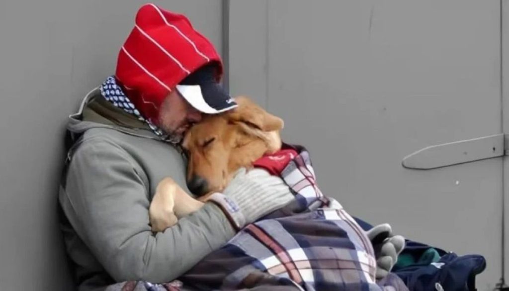 Hombre en Situación de Calle Murió por Frío - Vínculo Inquebrantable: Hombre Muere por No Dejar a su Perro