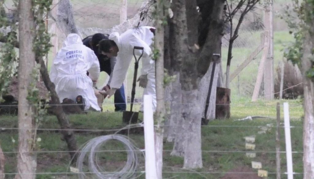 Muerte de un Niño de 2 Años Atacado por Perros en Argentina - Tragedia en Argentina: Niño de 2 Años Muere por Ataque de Perros