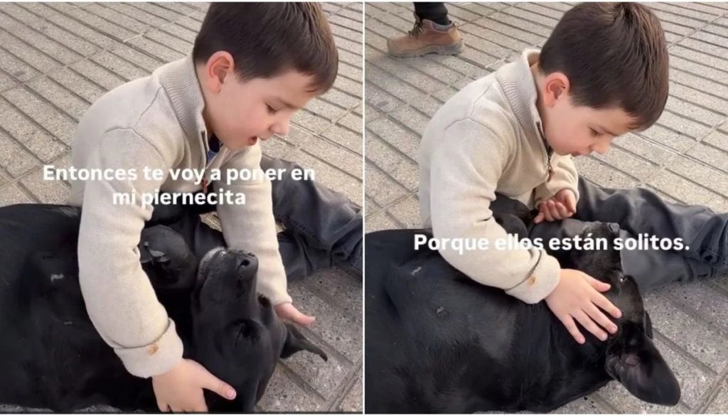 Niño y Perro Callejero - La Empatía entre un Niño y un Perro Callejero Conmueve a Chile