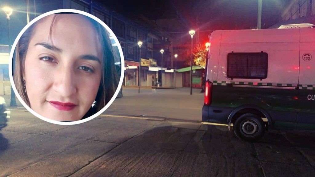 Nuevos Antecedentes sobre el Ataque contra una Mujer en Puerto Montt - Impactante Revelación: Detalles del Ataque en Puerto Montt