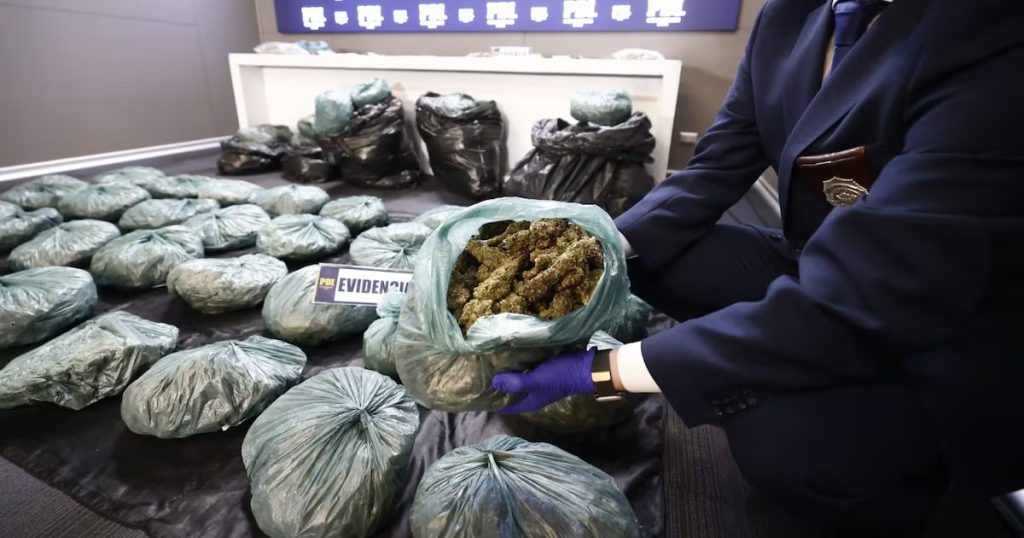 Operativo Policial Drogas Chile - Cae Banda en Mega "Operativo Policial de Drogas en Chile
