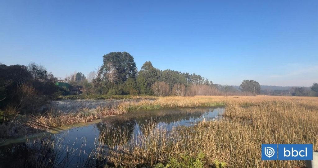 Reconocimiento de Valdivia Como Ciudad Humedal en la COP 15 - Valdivia Destaca en la COP 15: Reconocimiento como Ciudad Humedal