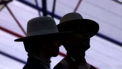 Artistas que Se Presentarán en el Parque O'Higgins el 18 de Septiembre - Parque O'Higgins: Preparativos y Artistas para Fiestas Patrias