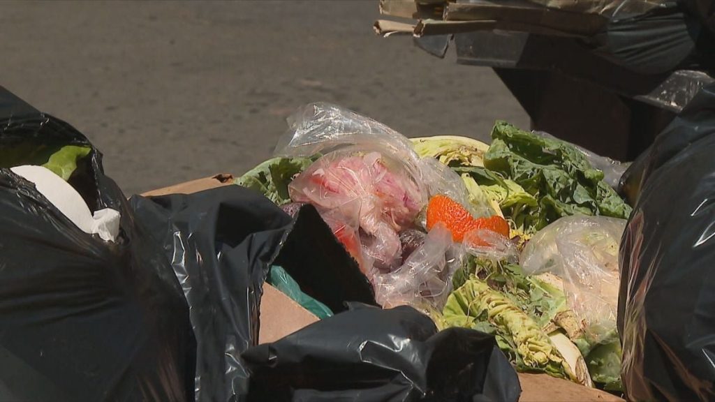 Crisis de Basura por Falta de Rellenos Sanitarios en Chile - Crisis de Residuos en Chile: Urgen Soluciones para el 2025